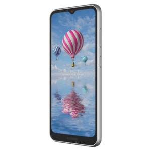 Bluebird SF650, 16.5cm (6.5''), GPS, USB-C, BT (BLE, 5.1), Wi-Fi, 4G, NFC, Android, GMS, RB - blusf650